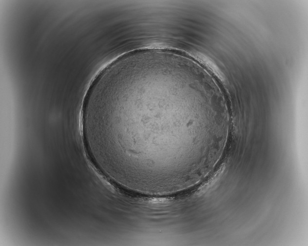 X0000093750839200710161156