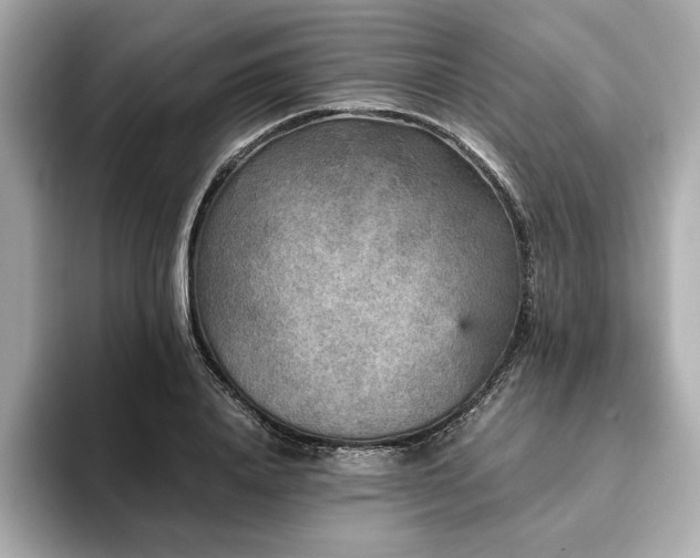X0000093750840200710161156