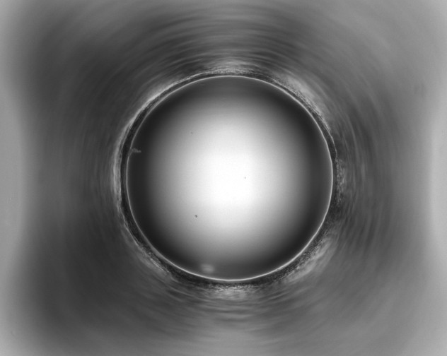 X0000093750843200710161156
