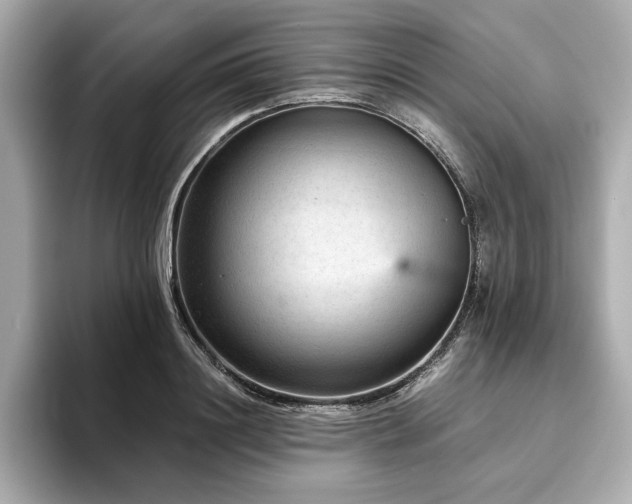 X0000093750844200710161156