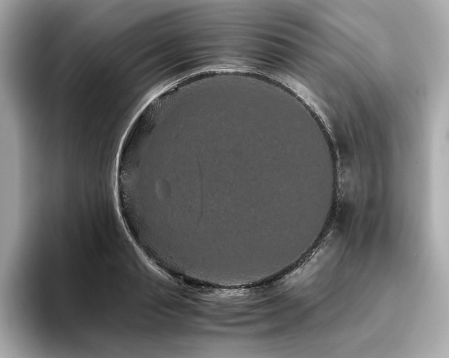 X0000093750845200710161156
