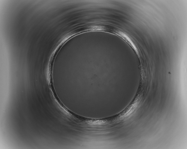 X0000093750851200710161156