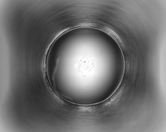 X0000093750852200710161156