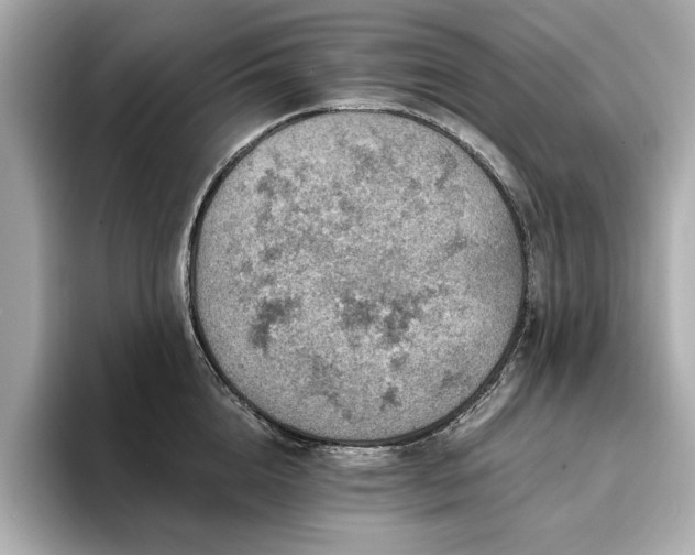 X0000093750856200710161156