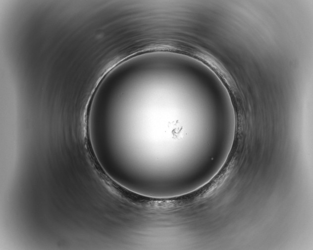 X0000093750858200710161156