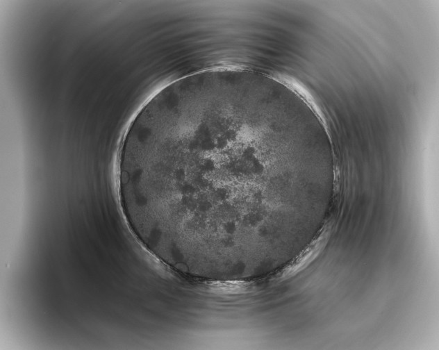 X0000093750859200710161156