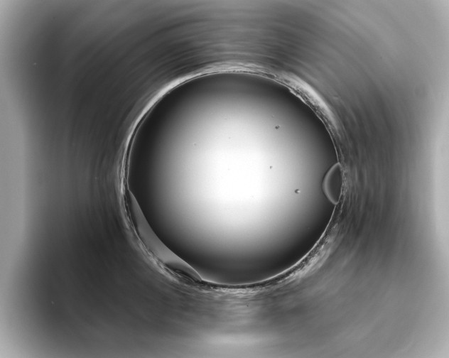 X0000093750860200710161156