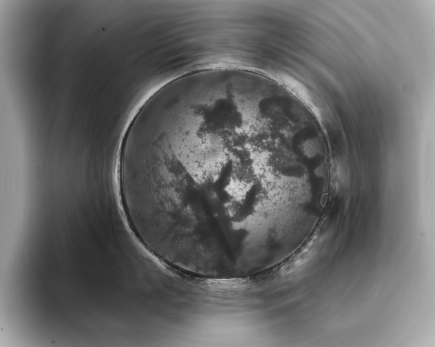 X0000093750863200710161156