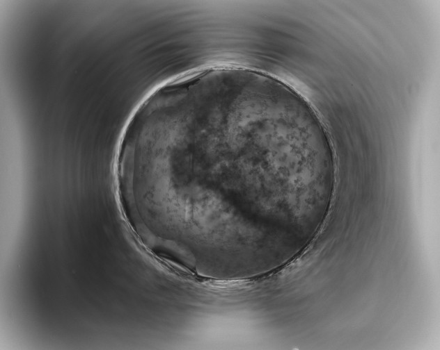 X0000093750864200710161156