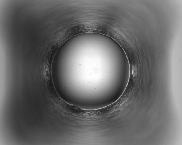 X0000093750867200710161156