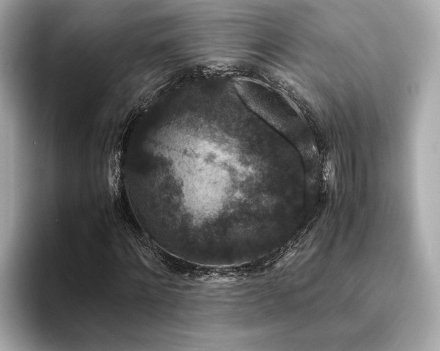 X0000093750868200710161156