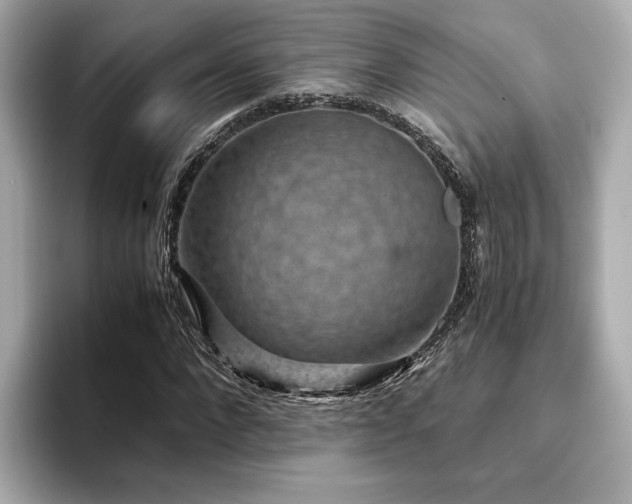 X0000093750872200710161156