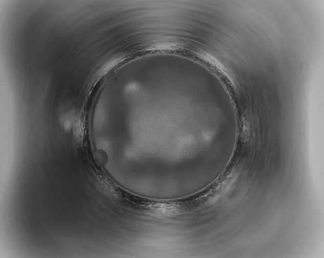 X0000093750874200710161155
