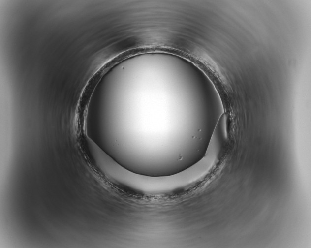 X0000093750876200710161155
