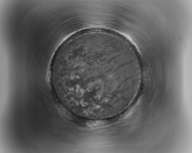 X0000093750879200710161155
