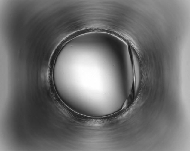 X0000093750880200710161155
