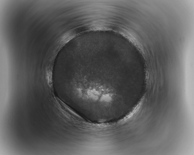 X0000093750881200710161155