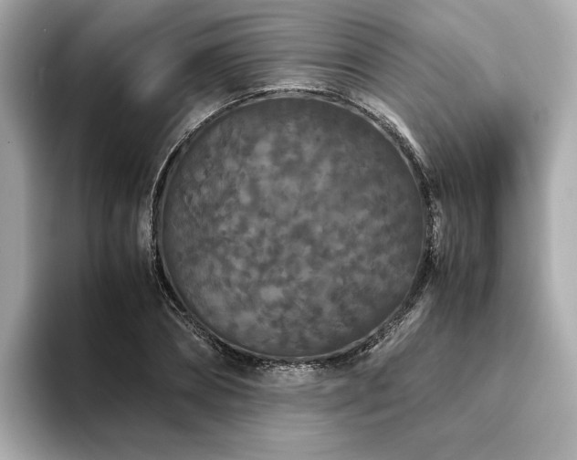 X0000093750882200710161155