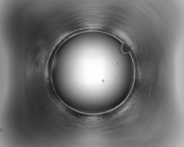 X0000093750883200710161155