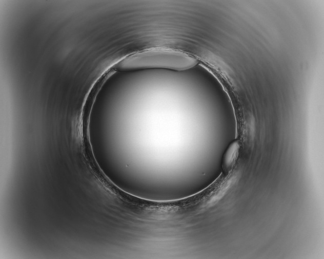X0000093750884200710161155