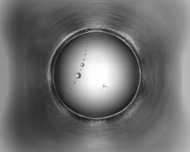 X0000093750887200710161155