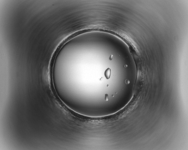 X0000093750888200710161155
