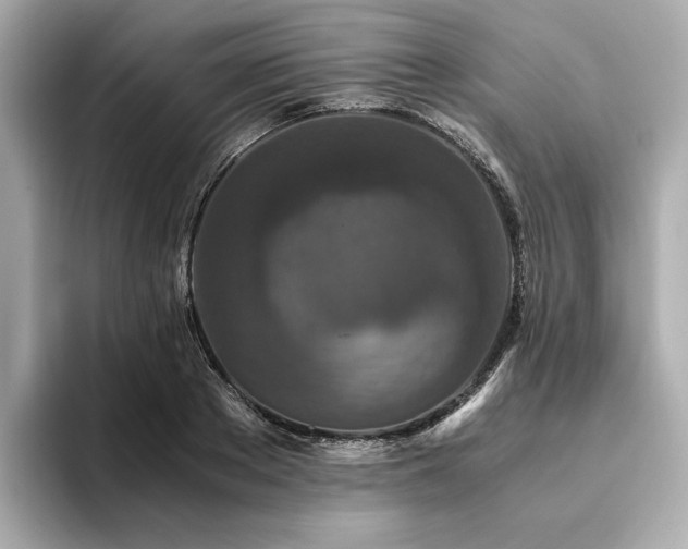 X0000093750889200710161155