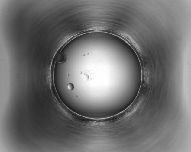 X0000093750890200710161155