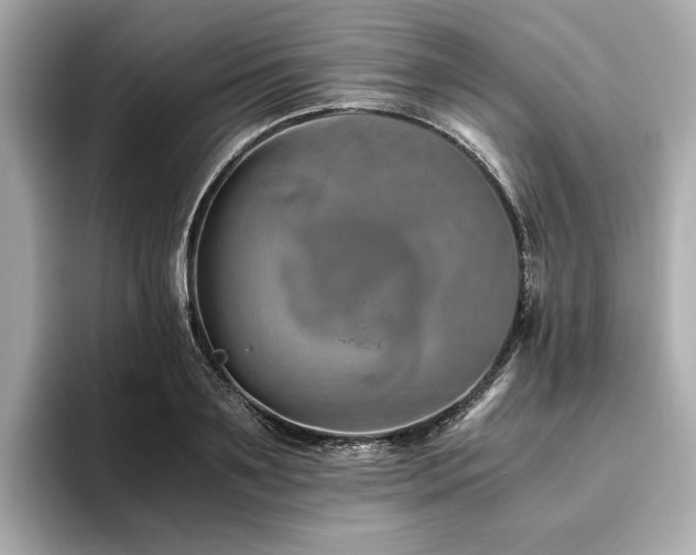 X0000093750891200710161155