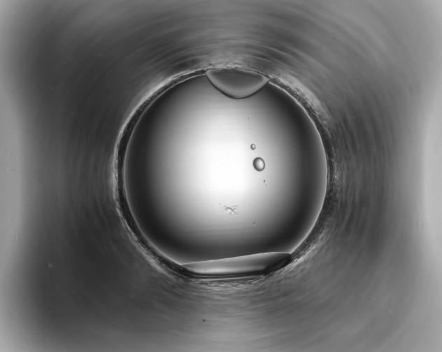X0000093750894200710161155