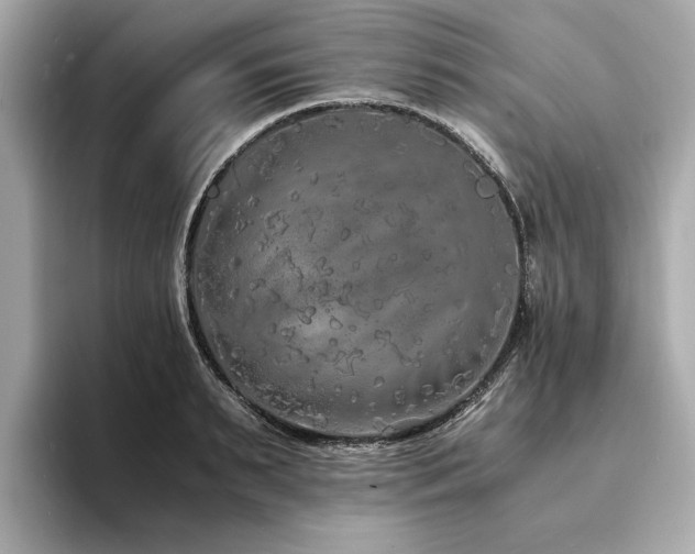X0000093750895200710161155