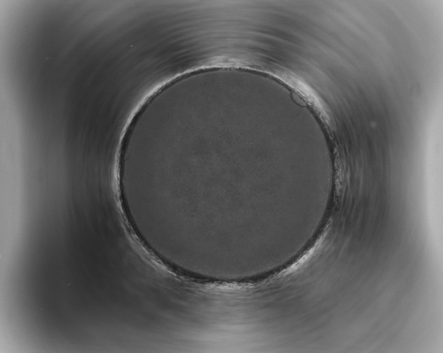X0000093750896200710161155