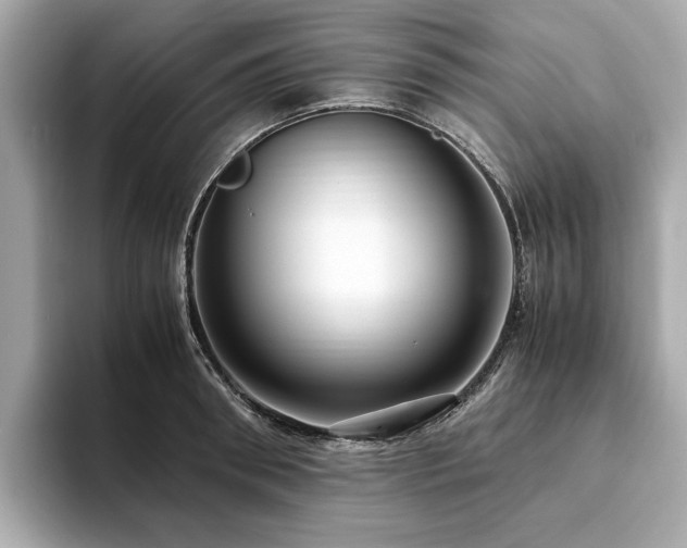 X0000093750898200710161155