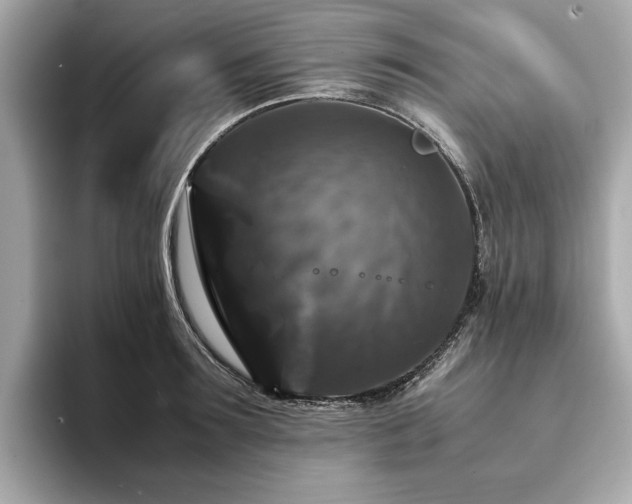 X0000093750899200710161155
