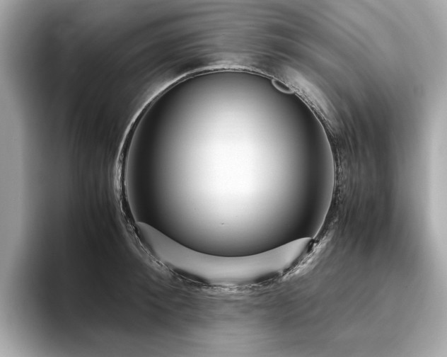 X0000093750900200710161155