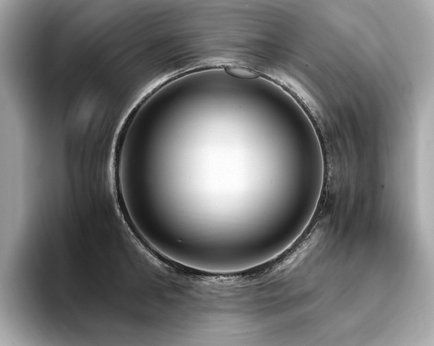 X0000093750902200710161155