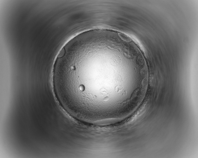 X0000093750903200710161155