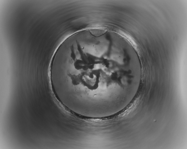 X0000093750907200710161155