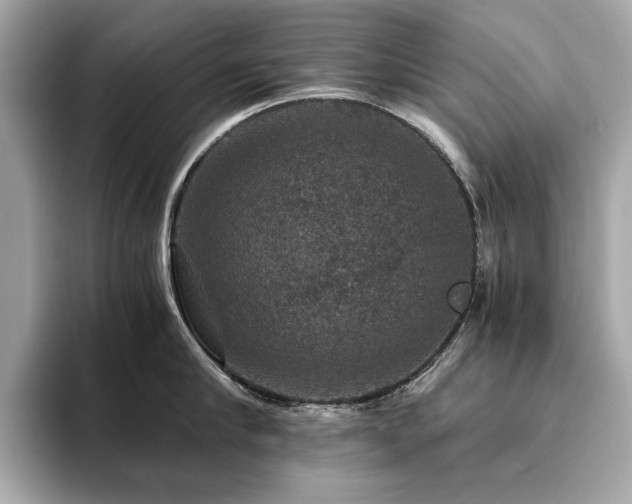 X0000093750910200710161155