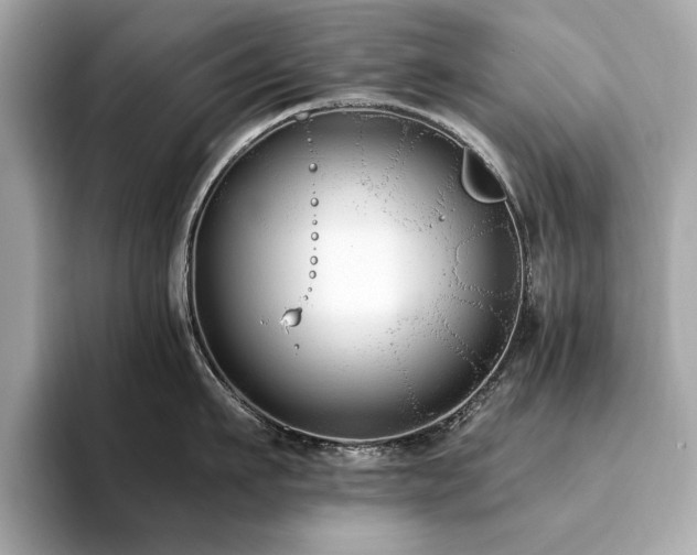 X0000093750911200710161155