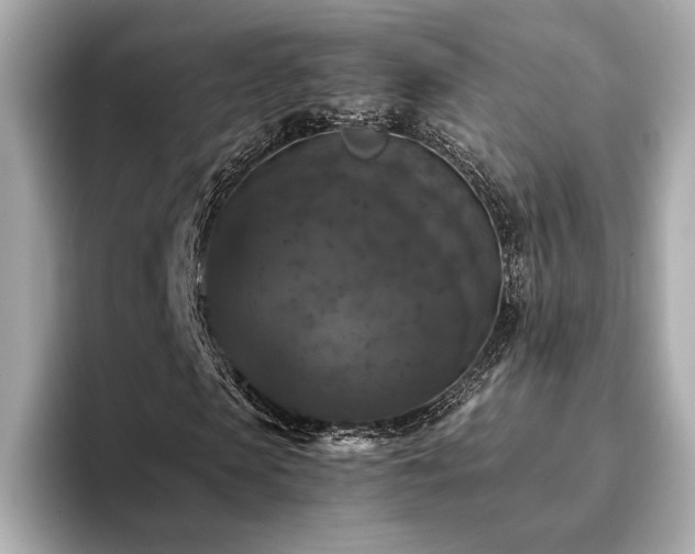 X0000093750913200710161154