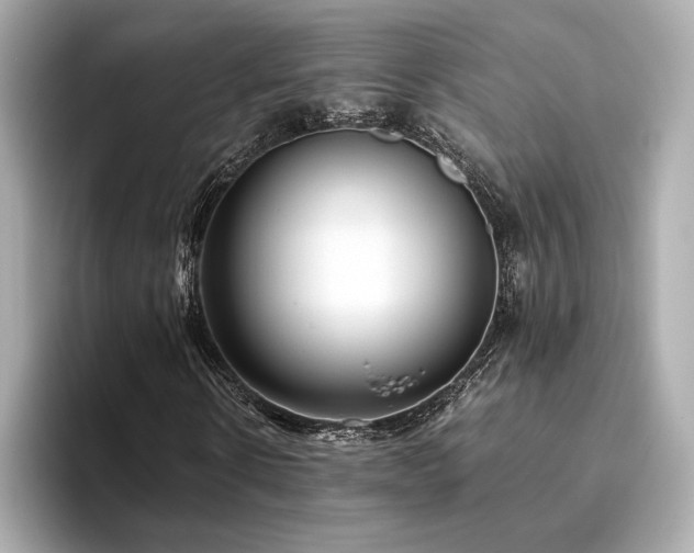 X0000093750914200710161155