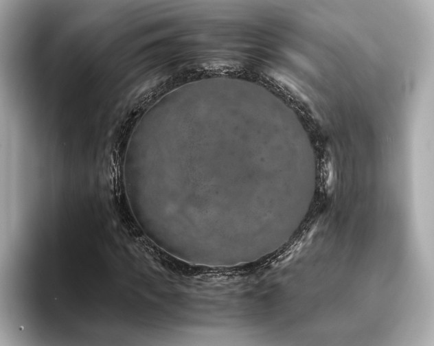 X0000093750917200710161155