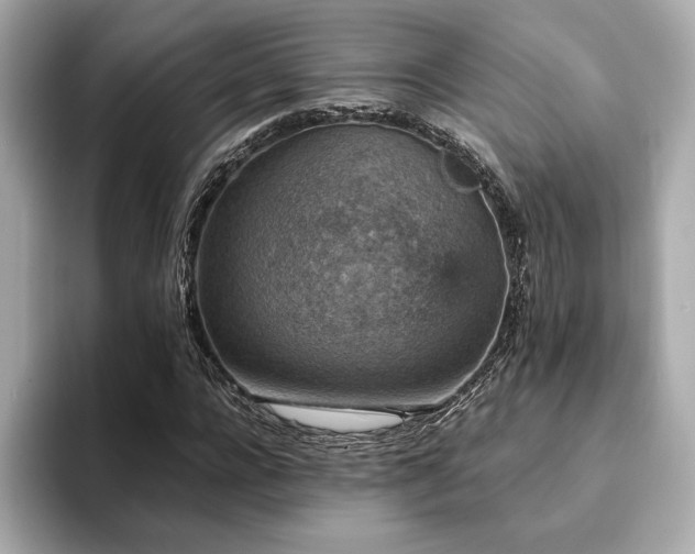 X0000093750920200710161155