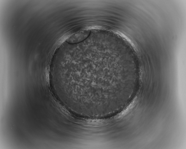 X0000093750921200710161155