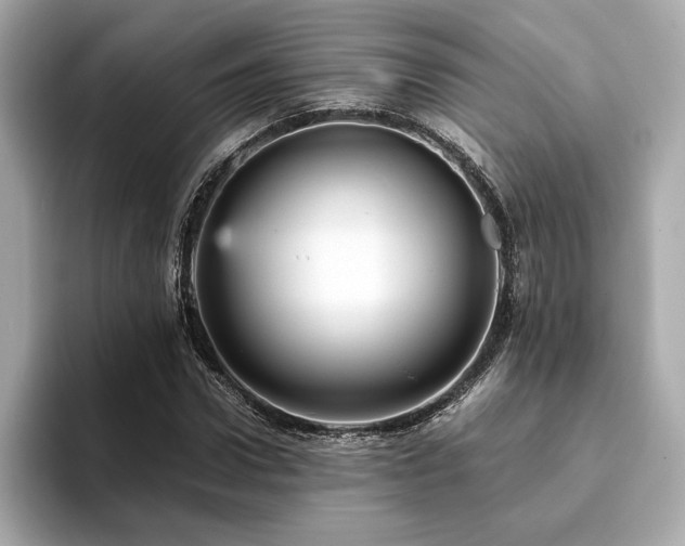 X0000093750922200710161155