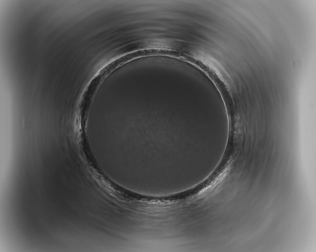 X0000093750923200710161155