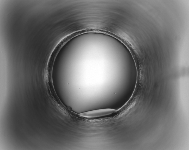 X0000093750924200710161155