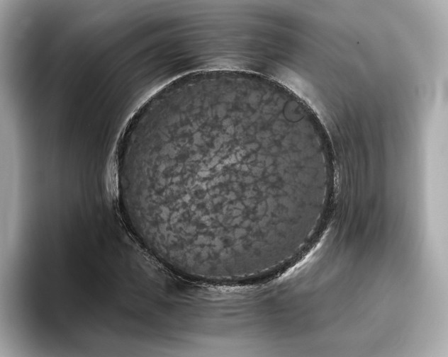 X0000093750925200710161155