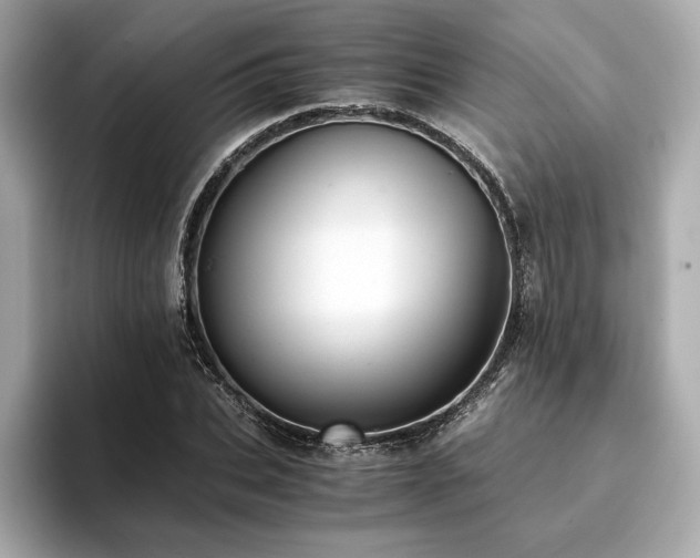 X0000093750927200710161155